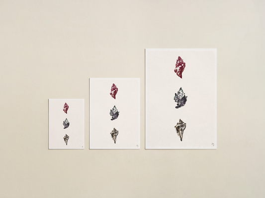 Watercolour Shell Collection 01 Art Print | Coastal Seaside Wall Art | Luxury Fine Art Print