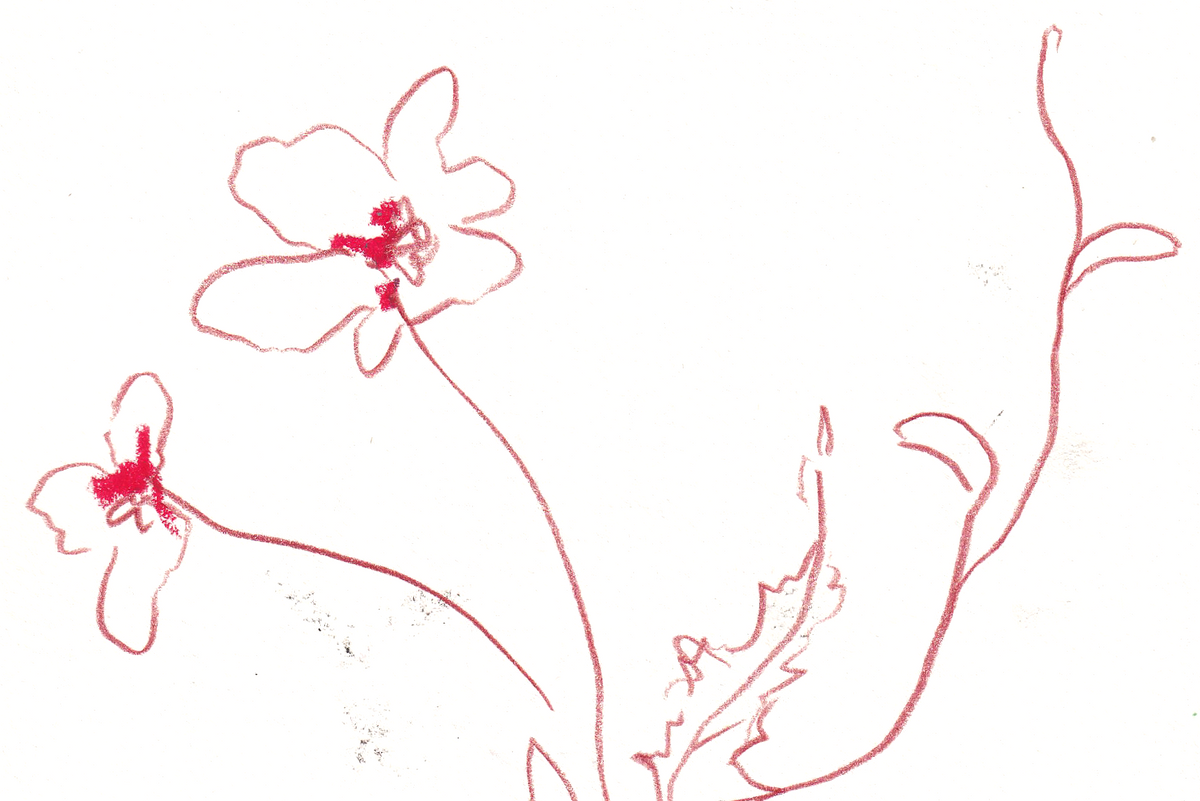 A minimalist line art illustration of flowers and leaves in red on a white background.