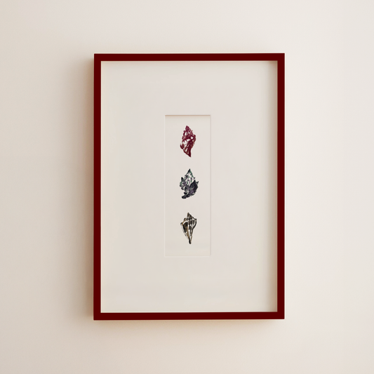 Framed wall art featuring three vertically aligned seashell illustrations in red, blue, and black on a white mat, housed in a dark red frame against a light beige wall.