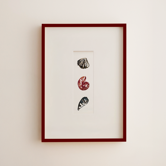 Framed vertical art print featuring three small seashell illustrations in black, red, and gray on a white mat, set in a dark red frame against a light beige wall.