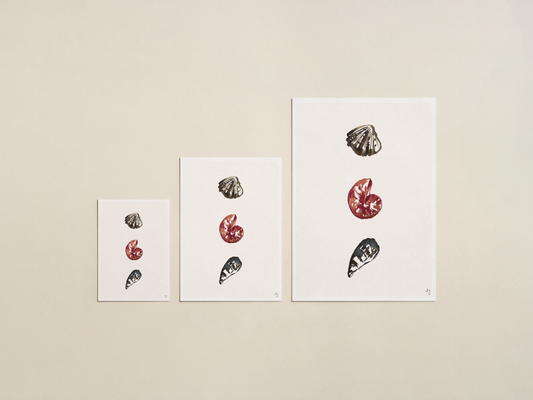 Watercolour Shell Collection 02 Art Print | Coastal Seaside Wall Art | Luxury Fine Art Print